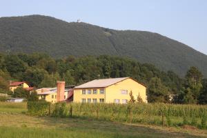 Osnovna šola pod Goro Oljko z zadnje strani